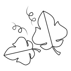grape leafs isolated icon vector illustration design