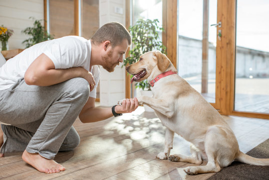 Man playing with the dog giving a paw sitting on the floor in the house