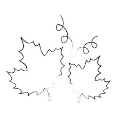 grape leafs isolated icon vector illustration design