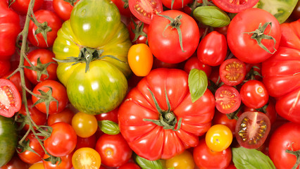 assorted of tomatoes