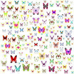 Numerous colorful butterflies on a neutral background