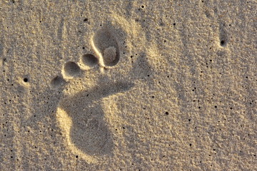 Fototapeta na wymiar A trace from the leg of a leprechaun on the sand.