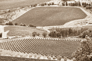 Tuscany Landscape