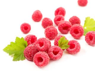 raspberry on white background