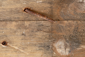 wood grain rusty nail 