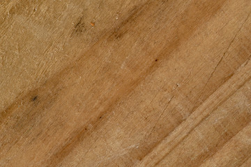 wood grain texture abstract