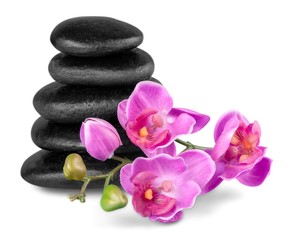 Fototapeta na wymiar Balancing Pebbles with Flower