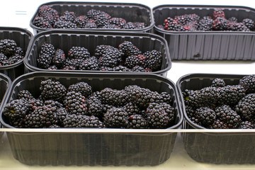 Blackberries in peddlers on supermarket shelves. Vegetable department, berries on shelves.