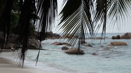 Seychellen-Perlen im indischen Ozean 