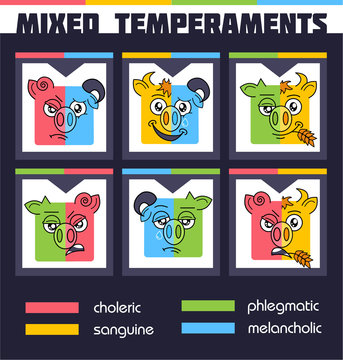  set Mixed Temperaments