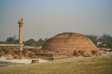 Ashoka or Ashokan Lion Pillar at Vaishali one of the most beautiful (Ashoka Pillar) at old temple in India