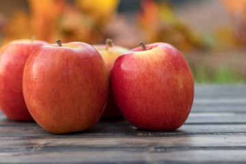 red apples in fall