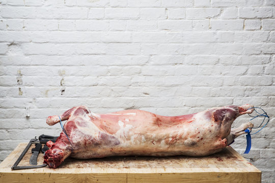 A whole lamb carcass on a butcher's block ready for butchering. 
