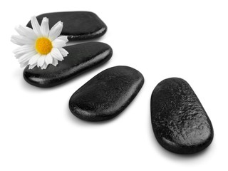 Flower and Pebbles