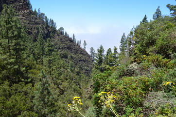 Teneriffa 2018