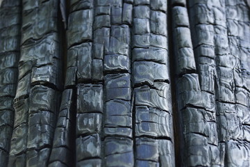 Fototapeta premium charred wood from the fire texture background