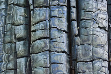 charred wood from the fire texture background