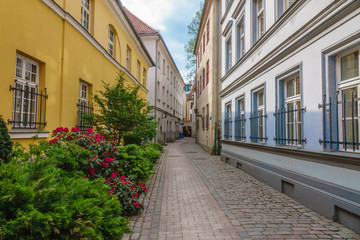 Fototapeta na wymiar Flowers at narrow medieval street, Riga, Latvia