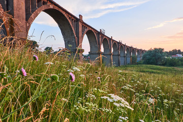 Meadow flowers and old railway bridge