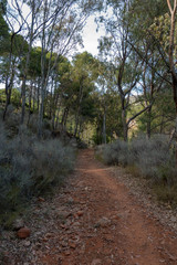 The desert of the palms under the blue sky