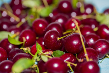 Close up of red fresh cherries with water drops