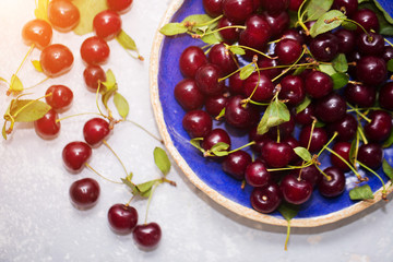 Ripe cherry in a blue plate on a light background