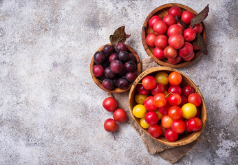 Naklejka na ściany i meble Various type of cherry-plum in wooden bowls 