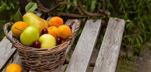 fruit basket is on the bench, it is composed of pear, apples, cherries and apricots