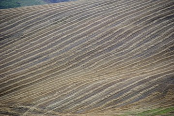  italian green countryside
