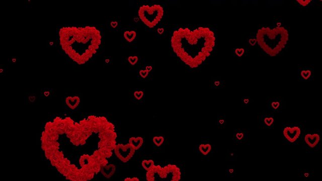 Red colorful rose and heart flying animation on black background, love and valentine day