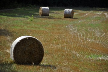 bales of hay in  italian green countryside