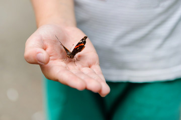 A multicolored butterfly sits on the boy's arm.