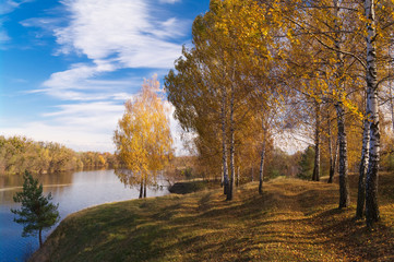 Trees with yellow leaves on the hillside by the river against a blue sky on a sunny day. Autumn landscape.