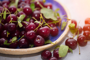 Close up of pile of ripe cherries with stalks and leaves.