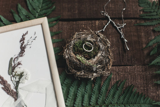 wedding rustic boutonniere and wedding rings in bird nest on wooden background with fern leaves. rustic barn wedding concept. top view.
