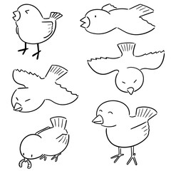 vector set of bird