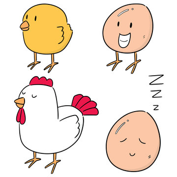 vector set of chicken and egg