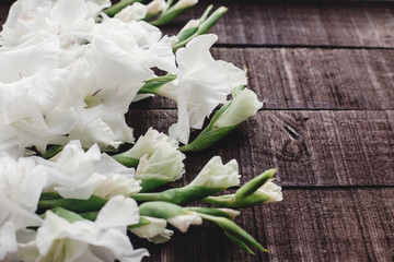 beautiful white gladioluses on rustic wooden background.tender gladioli on rustic brown wood, space for text, holiday greeting card. floral spring image. mother woman day.