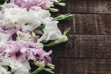 beautiful pink and white gladioluses on rustic wooden background flat lay. colorful gladioli on rustic brown wood, space for text, holiday greeting card. floral spring image