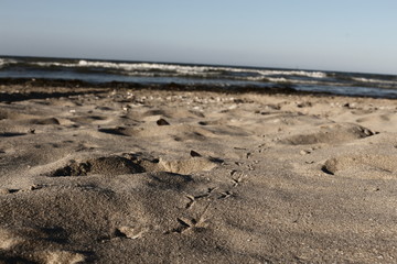 Spur im Sand
