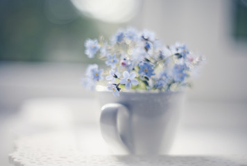 Blue flowers of a forget-me-not in a cup in a window on a lacy tray.