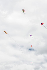 Fototapeta na wymiar Kites in the sky. Background.