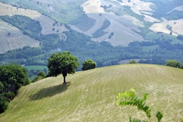  italian green countryside