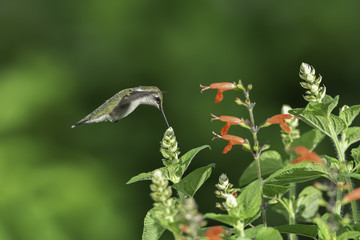 A Little Off the Top