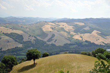  italian green countryside