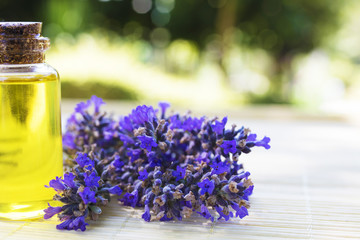 Obraz na płótnie Canvas oil jars or lavender essence with a bouquet of natural lavender flowers