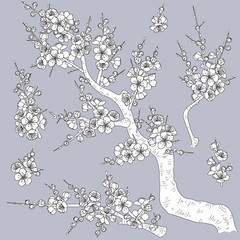 Monochrome Plum Blossom Branches
