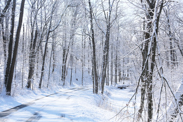 Snow Creek Road