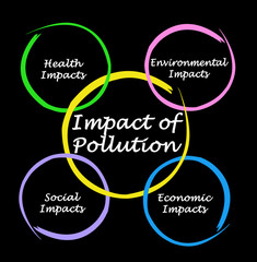 Impact of pollution