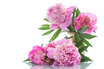 bouquet of blooming peonies